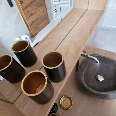 Holzgauerin *