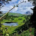 Apartmán Holzgauerin *